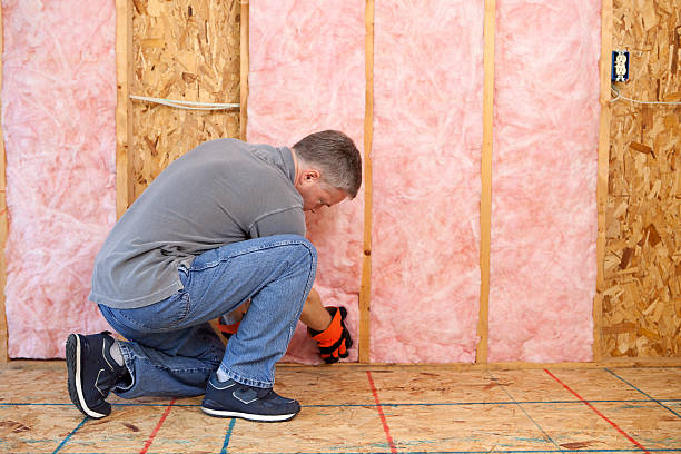 Best Geographic-Specific Insulation Services in Old Town, ME