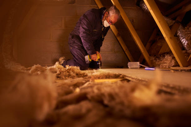 Best Cellulose Insulation in Old Town, ME
